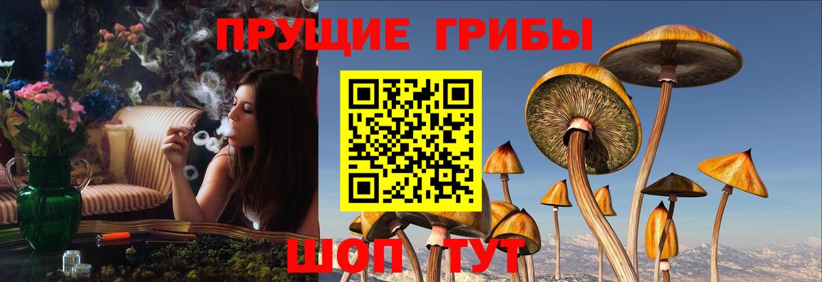 Галлюциногенные грибы Cubensis Еманжелинск