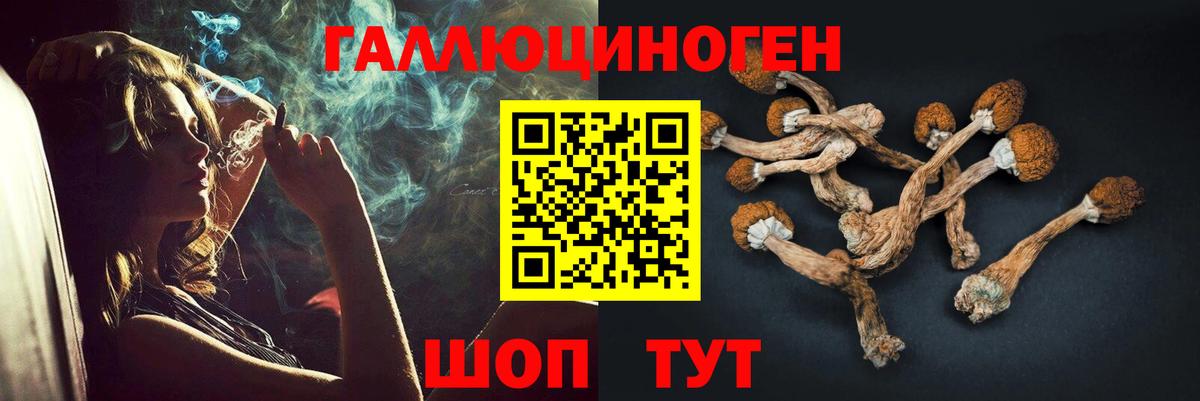 Псилоцибиновые грибы Psilocybine cubensis  Вход с VPN  Еманжелинск  Галлюциногенные грибы ЛСД 